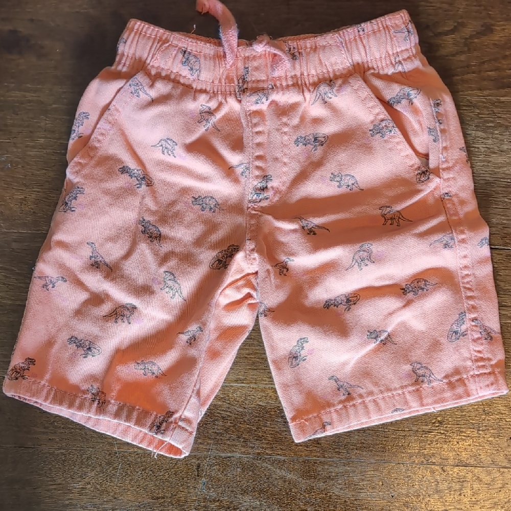 Boy's 4T Coral Dinosaur Shorts